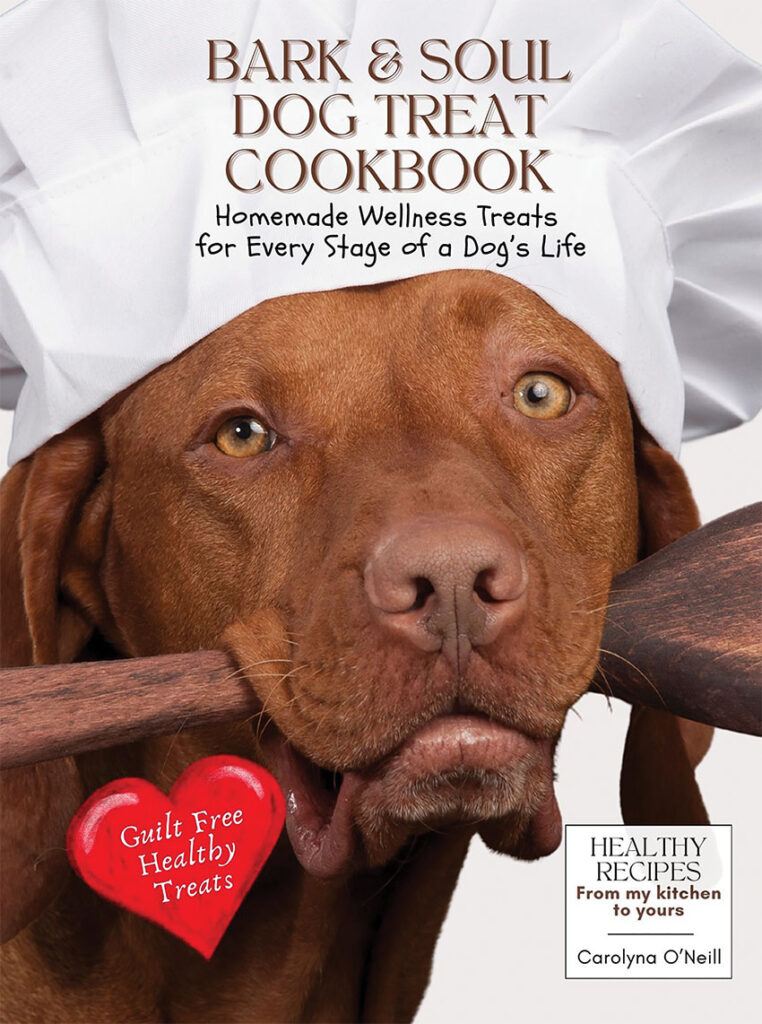 Image of cover of the book Bark & Soul Dog Treat Cookbook