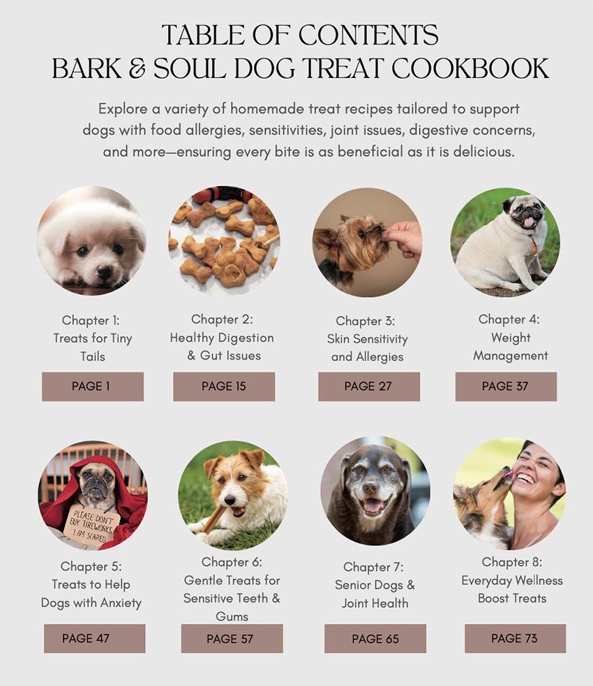 Index page of Bark & Soul with chapters addressing stages of health for pups and dogs.
